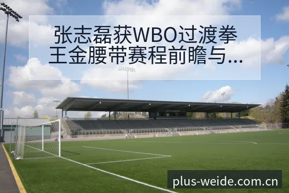 张志磊获WBO过渡拳王金腰带赛程前瞻与战术风险分析 - 伟德体育