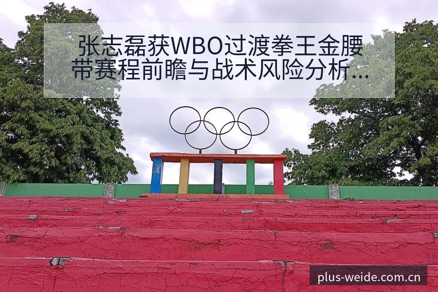 张志磊获WBO过渡拳王金腰带赛程前瞻与战术风险分析 - 伟德体育